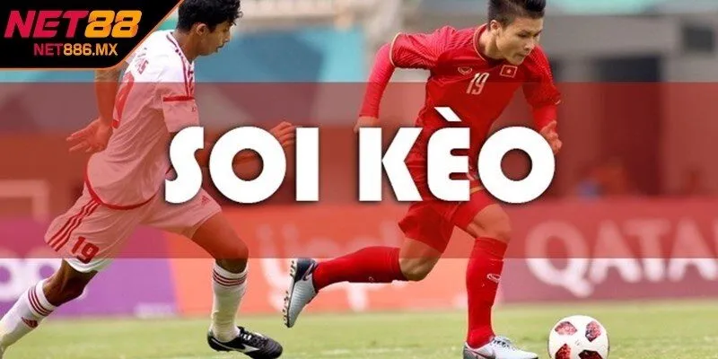 Thuật ngữ soi kèo cơ bản cho cược thủ